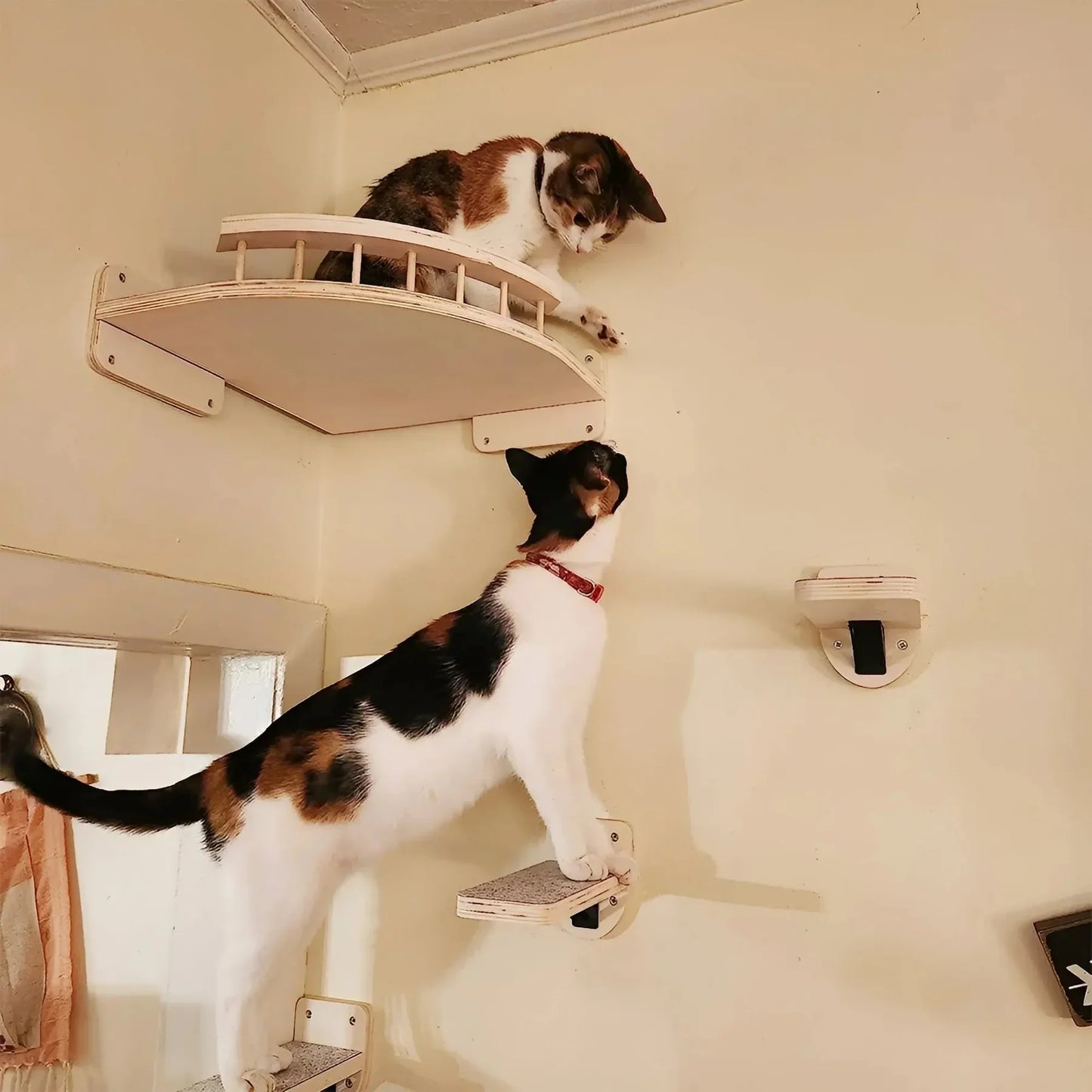 Individuell Zusammenstellbarer Katzen-Wandkratzbaum – Anpassbar für Deine Katze