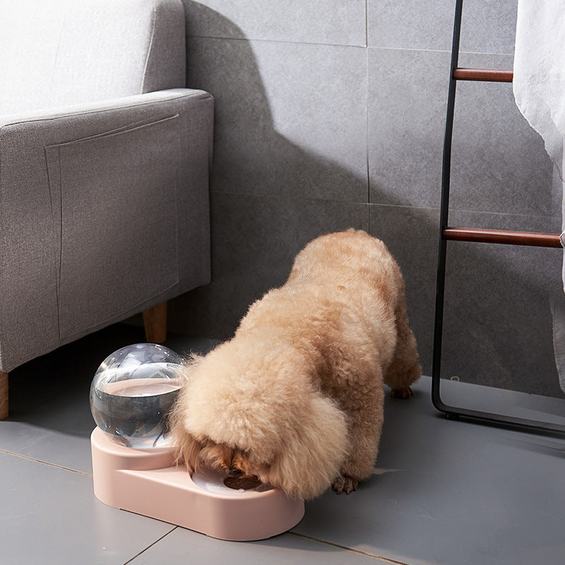 Wasser- und Futterstation für Katzen – Hygienische 2-in-1 Futter- und Wasserschale mit rutschfestem Design