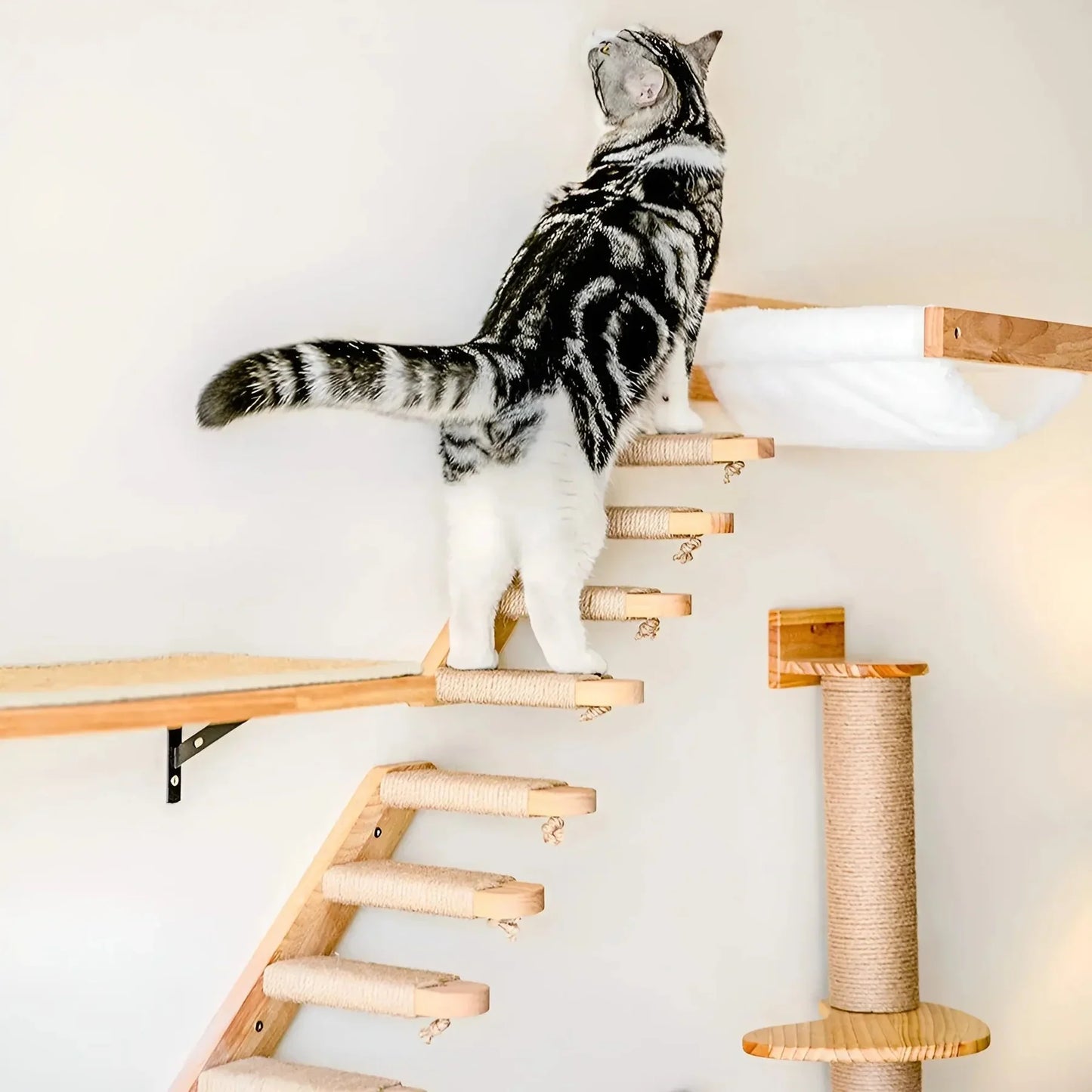 Individuell Zusammenstellbarer Katzen-Wandkratzbaum – Anpassbar für Deine Katze