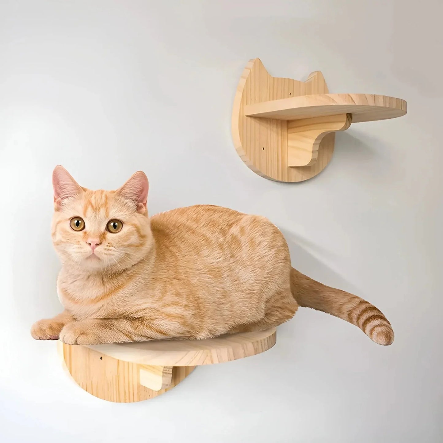 Individuell Zusammenstellbarer Katzen-Wandkratzbaum – Anpassbar für Deine Katze