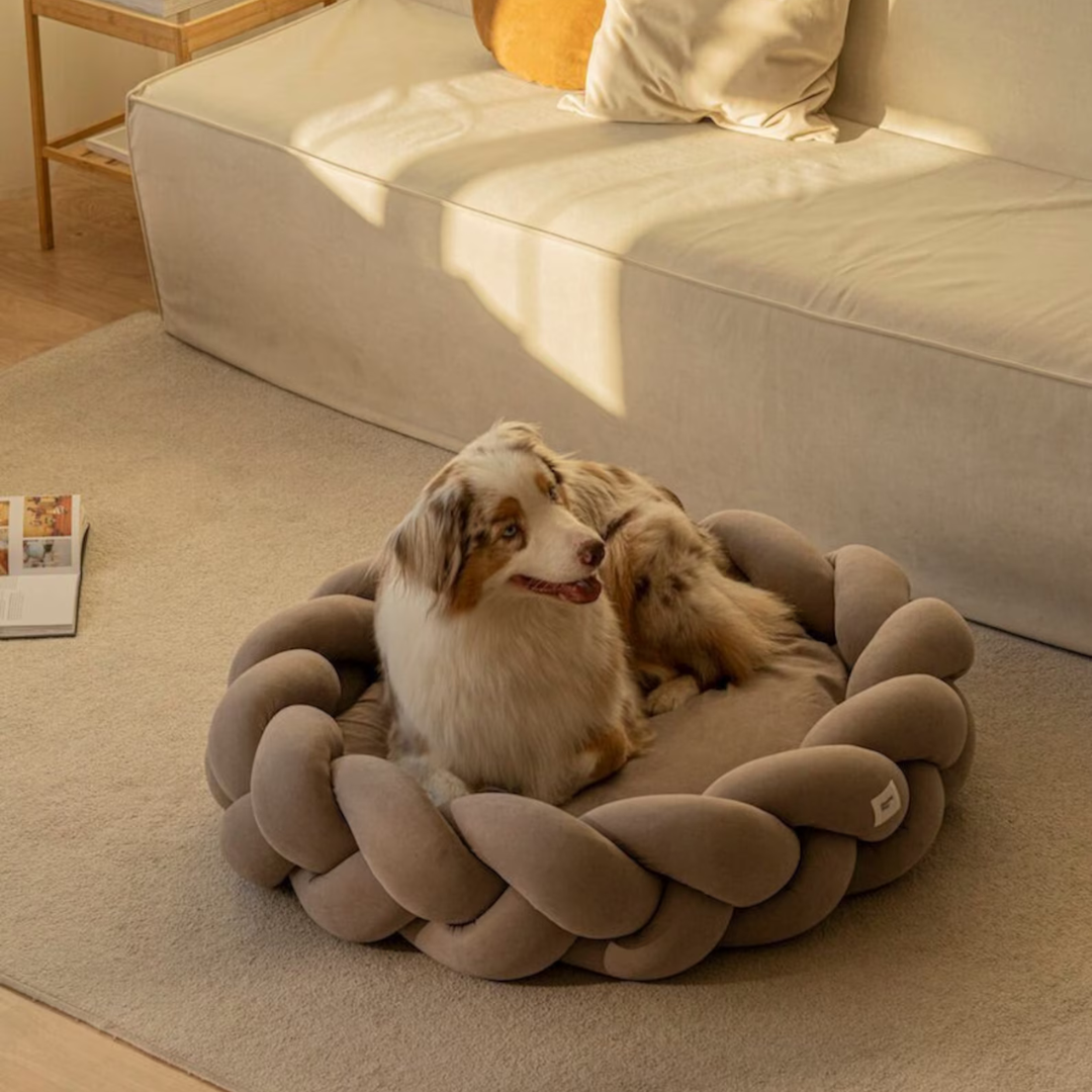 Luxus Hundebett – Weiches und Bequemes Hundebett im Zopfmuster