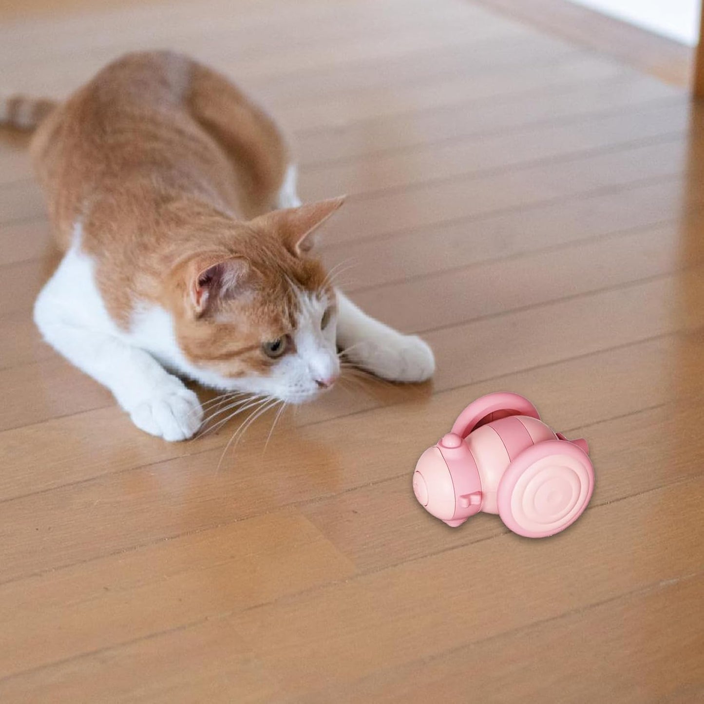 Interaktives Ferngesteuertes Katzenspielzeug mit Feder für Aktive Katzen