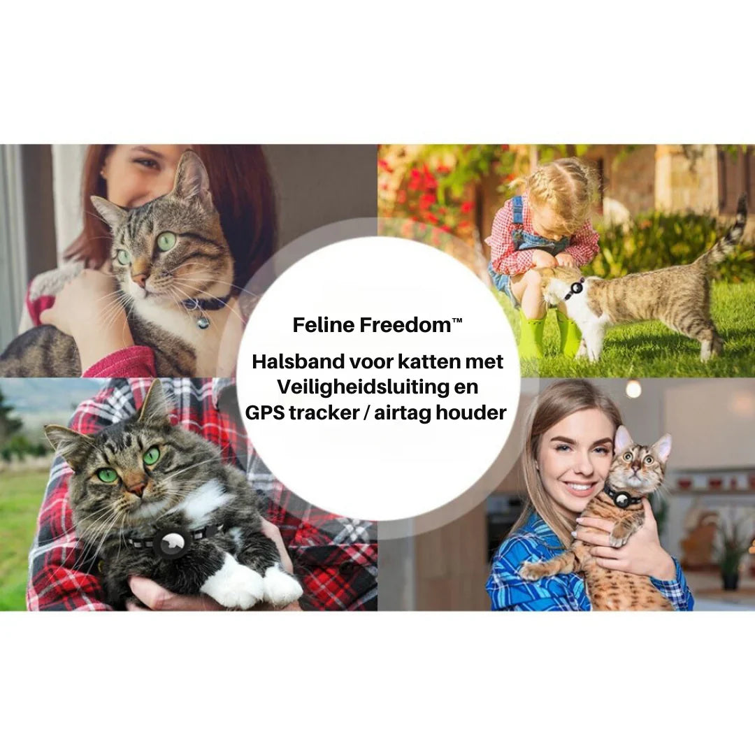 Katzenhalsband mit Sicherheitsverschluss – Sicheres Halsband für Katzen