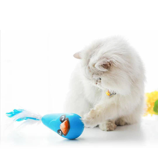 Interaktives Wackelspielzeug für Katzen – Mit Ersatzfedern für unendlichen Spielspaß