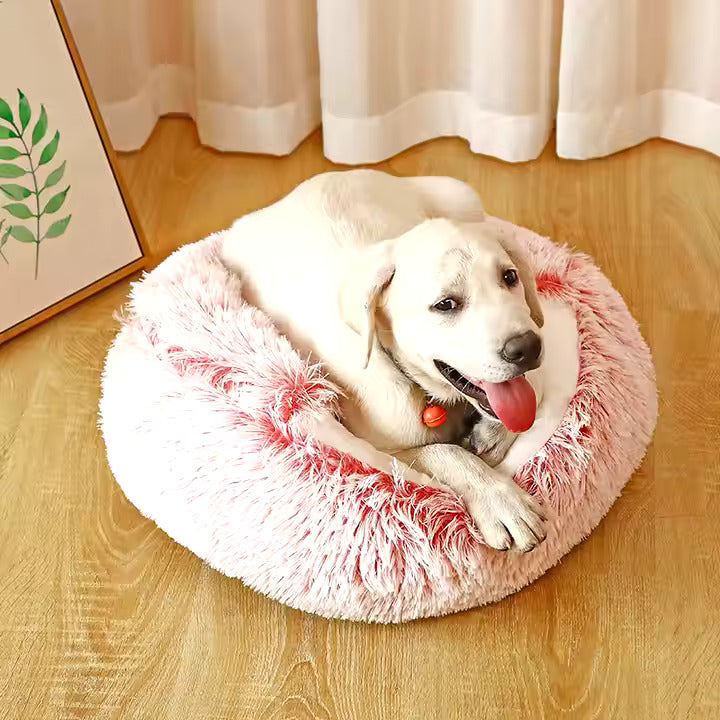 2in1 Hundebett und Kuschelhöhle – Gemütlicher Rückzugsort für Hunde
