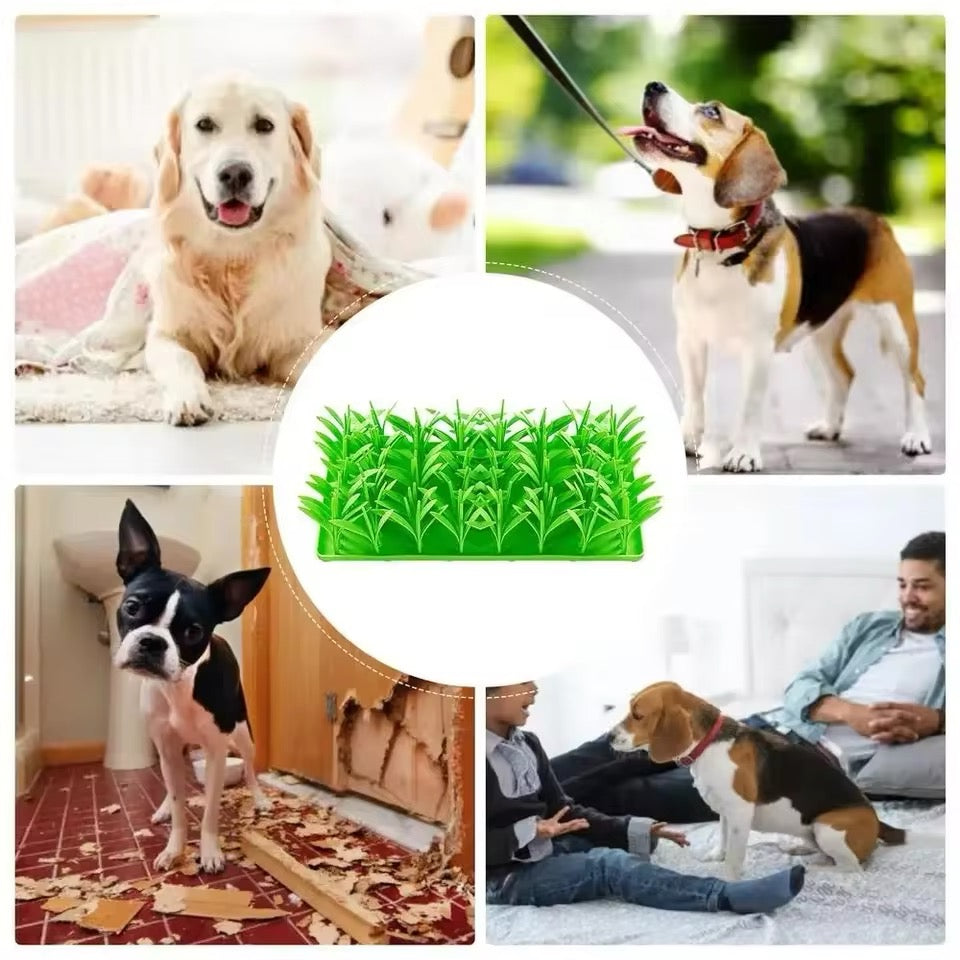 Interaktive Leckerli-Wiese – Fördert Spielspaß und Leckerli-Suche für Hunde