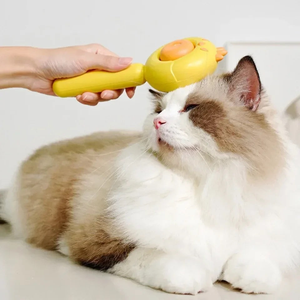 All-in-One-Katzenbürste für Fellpflege – Sanfte und Effektive Pflege für Dein Haustier