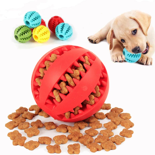 Zahnreinigungs-Kauball für Hunde mit Leckerli-Funktion