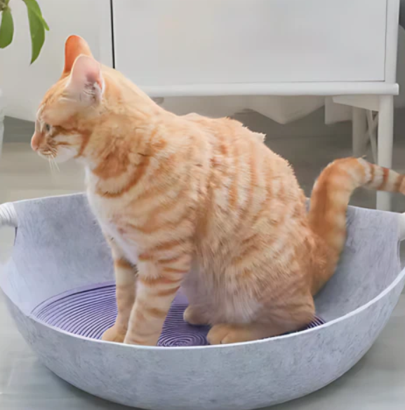 Katzenbett aus Filz mit Tragegriffen – Weiches und bequemes Ruhebett für deine Katze