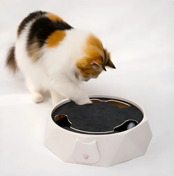 Interaktives Spielzeug für Katzen mit Beweglicher Maus – Fördert Jagdtrieb und Spaß