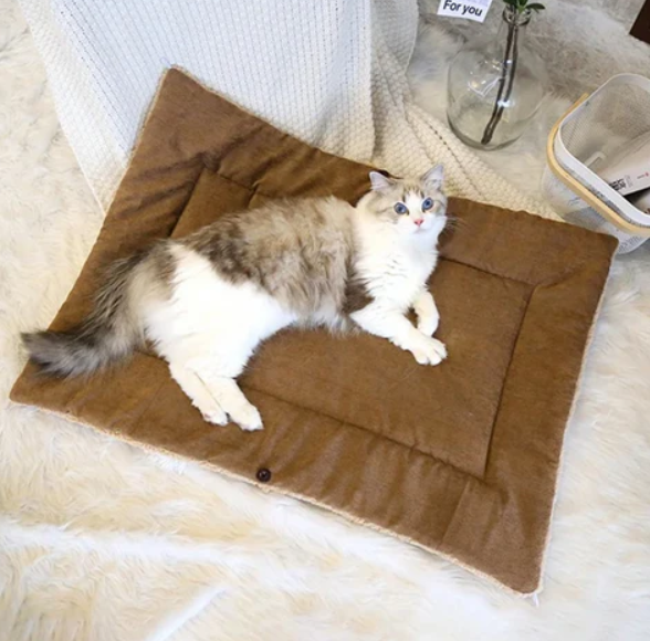 2-in-1 Kuschelbett und Decke für Katzen – Vielseitig und Bequem für Dein Haustier