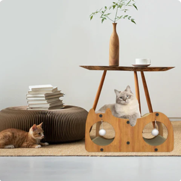 Luxuriöses Katzen-Sofa mit Kratzbrett und Spielbällen – Komfort und Unterhaltung für Deine Katze