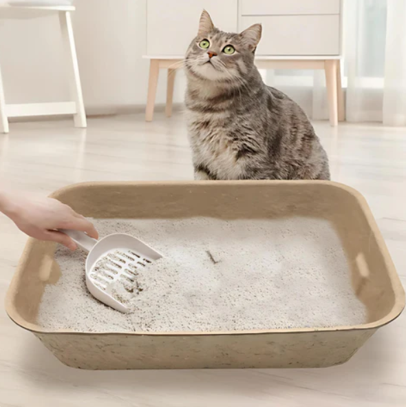 Umweltfreundliche Katzenstreu Box – Biologisch Abbaubar für Nachhaltige Haustierhygiene