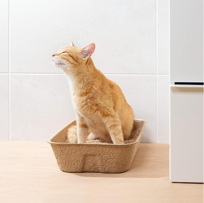 Umweltfreundliche Katzenstreu Box – Biologisch Abbaubar für Nachhaltige Haustierhygiene