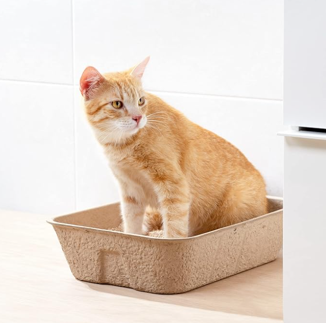 Umweltfreundliche Katzenstreu Box – Biologisch Abbaubar für Nachhaltige Haustierhygiene