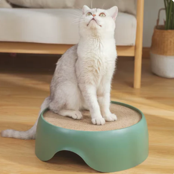 Katzenbett mit Kratzfläche und Weichem Liegekissen – Multifunktional und Komfortabel