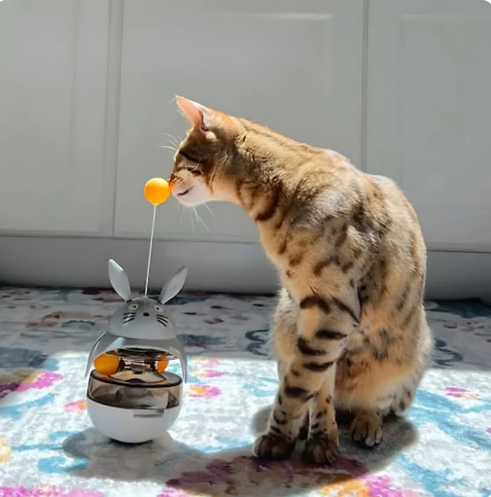 Katzen Spielzeug mit Wackelfunktion und Snackbelohnung