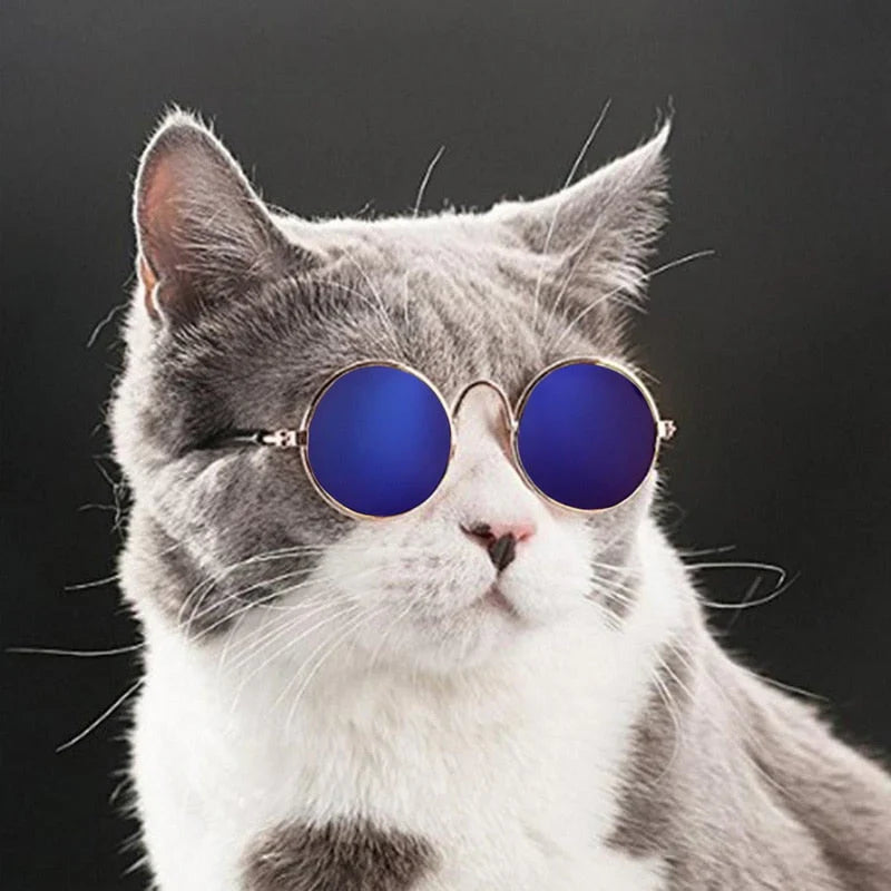Stylische Katzenbrille – Modische Sonnenbrille für Katzen
