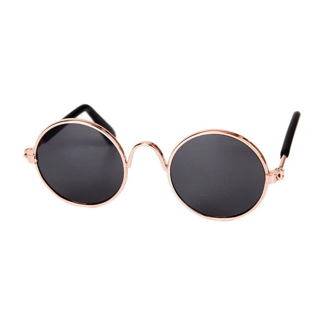 Stylische Katzenbrille – Modische Sonnenbrille für Katzen
