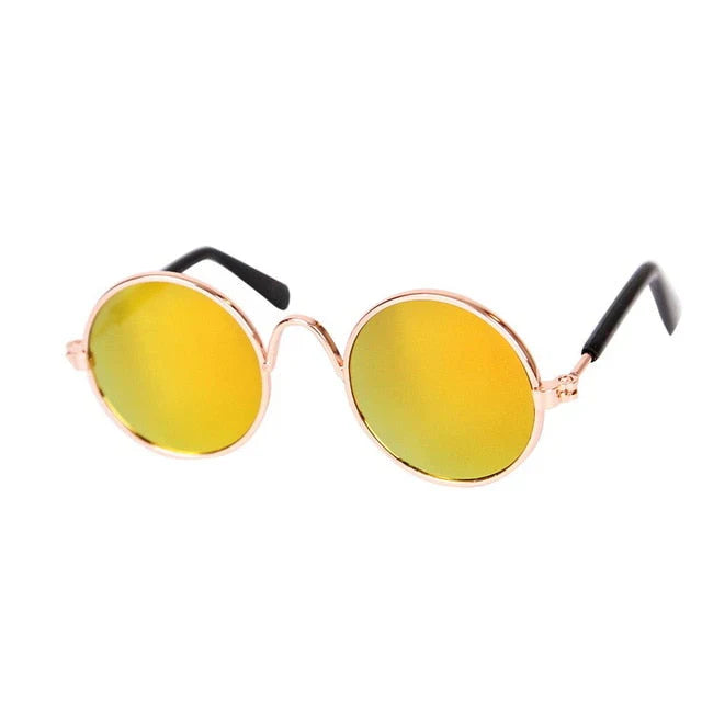 Stylische Katzenbrille – Modische Sonnenbrille für Katzen