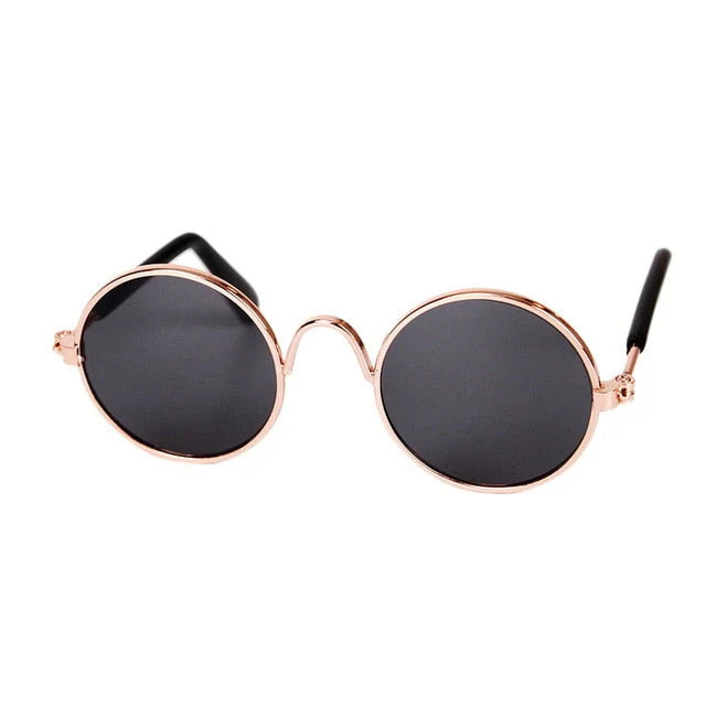 Stylische Katzenbrille – Modische Sonnenbrille für Katzen