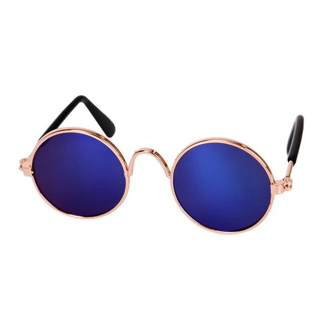 Stylische Katzenbrille – Modische Sonnenbrille für Katzen
