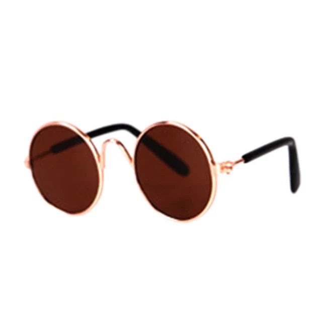 Stylische Katzenbrille – Modische Sonnenbrille für Katzen