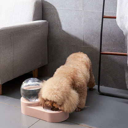 Wasser- und Futterstation für Katzen – Hygienische 2-in-1 Futter- und Wasserschale mit rutschfestem Design