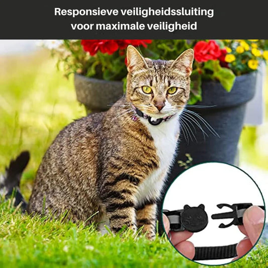 Katzenhalsband mit Sicherheitsverschluss – Sicheres Halsband für Katzen