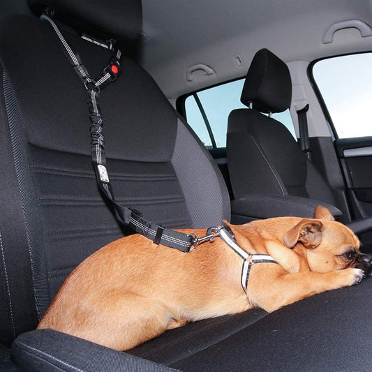 Auto Sicherheitsgurt für Hunde – Sicher und bequem unterwegs
