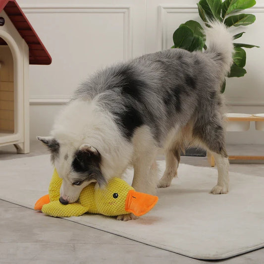 Anti-Stress Ente – Kuscheltier für Hunde zur Beruhigung und Entspannung