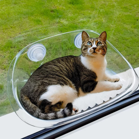 Fenster Katzenhängematte mit Saugnäpfen – Idealer Ausblick und Komfort für deine Katze