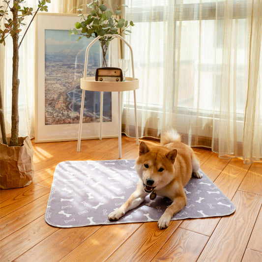 Hunde Pipi-Matte mit Rutschfestem Design – Ideal für Drinnen und Draußen