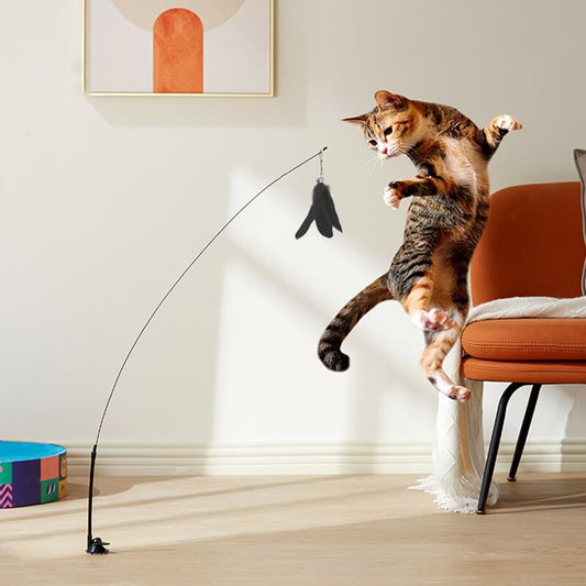 Interaktives Katzenspielzeug – Vogelspiel für Aktive Katzen
