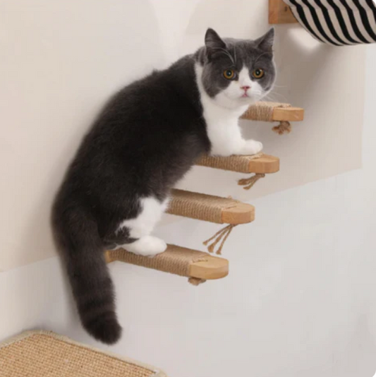 Katzen Kletterstufen mit Sisalseil – Wandmontage für Mehr Bewegung