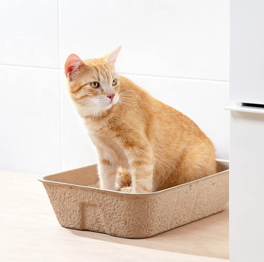 Umweltfreundliche Katzenstreu Box – Biologisch Abbaubar für Nachhaltige Haustierhygiene