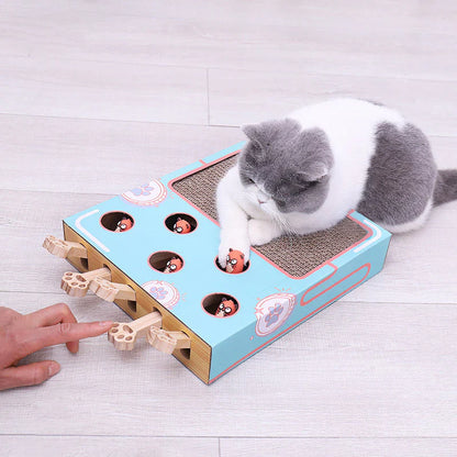3in1 Katzenspielzeug Box – Mit Kratzfläche und Interaktivem Spiel